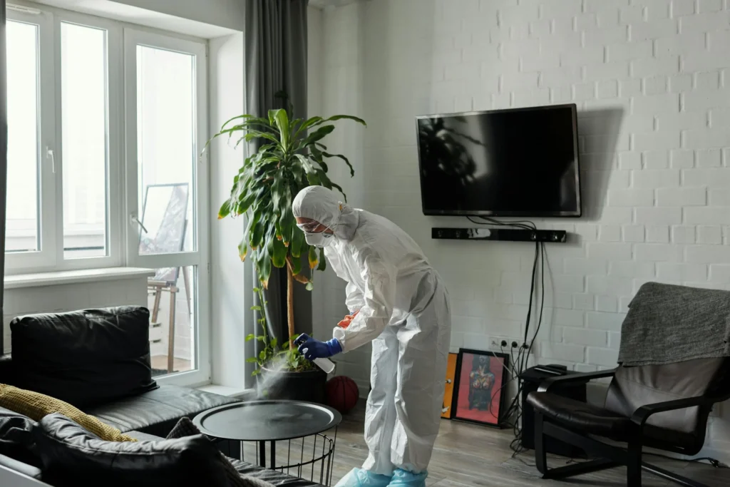 Person deep cleaning drawing room